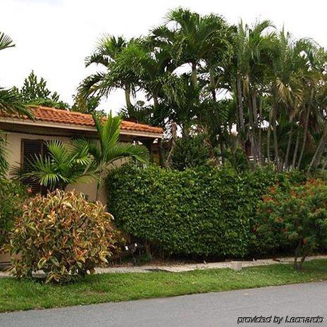 וסט פאלם ביץ' Parkview Motor Lodge מראה חיצוני תמונה